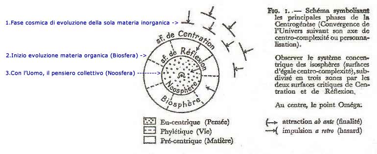 Immagine di un disegno di Teilhard rappresentante la sua idea di evoluzione