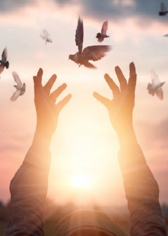 Copertina La speranza come energia cosciente